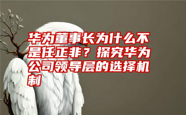 华为董事长为什么不是任正非？探究华为公司领导层的选择机制