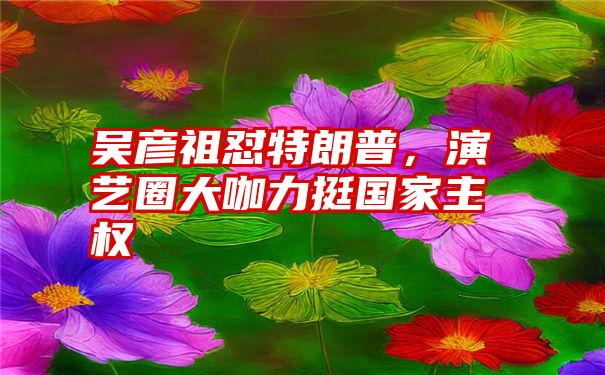 吴彦祖怼特朗普，演艺圈大咖力挺国家主权