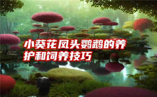 小葵花凤头鹦鹉的养护和饲养技巧