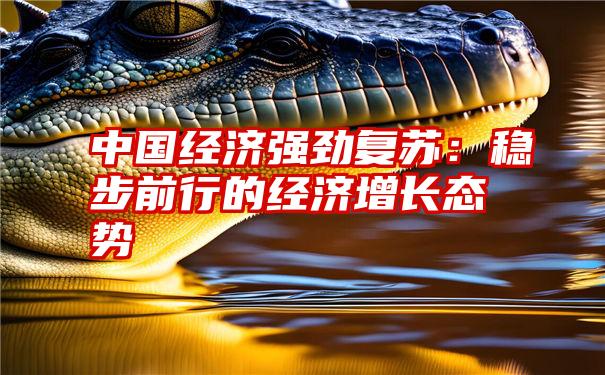 中国经济强劲复苏：稳步前行的经济增长态势