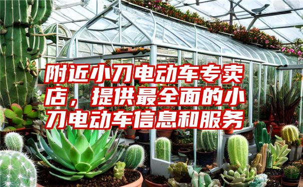 附近小刀电动车专卖店，提供最全面的小刀电动车信息和服务