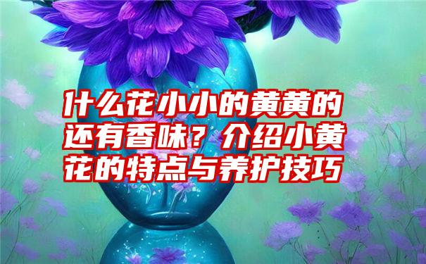 什么花小小的黄黄的还有香味？介绍小黄花的特点与养护技巧