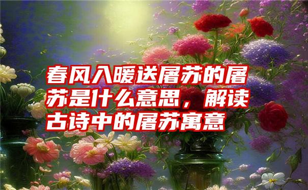 春风入暖送屠苏的屠苏是什么意思，解读古诗中的屠苏寓意