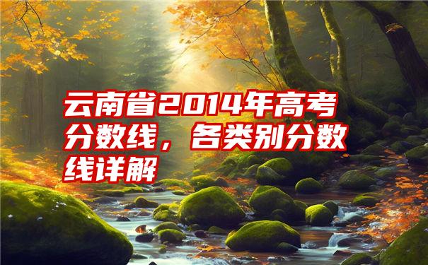 云南省2014年高考分数线，各类别分数线详解