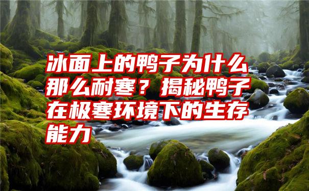 冰面上的鸭子为什么那么耐寒？揭秘鸭子在极寒环境下的生存能力