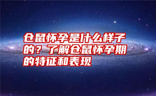 仓鼠怀孕是什么样子的？了解仓鼠怀孕期的特征和表现