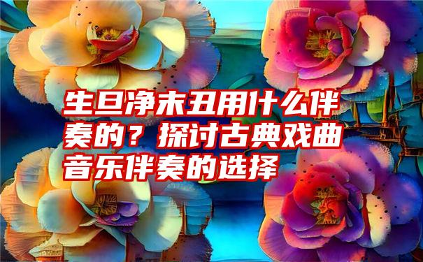 生旦净末丑用什么伴奏的？探讨古典戏曲音乐伴奏的选择