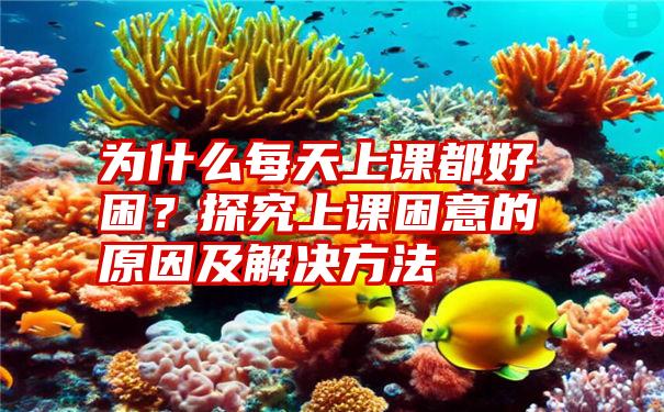 为什么每天上课都好困？探究上课困意的原因及解决方法