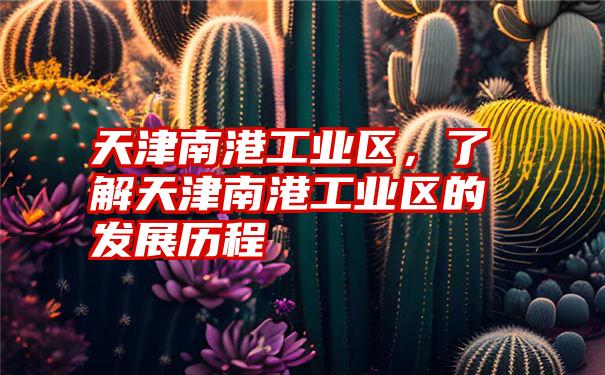 天津南港工业区,了解天津南港工业区的发展历程