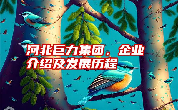 河北巨力集团，企业介绍及发展历程