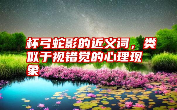 杯弓蛇影的近义词,类似于视错觉的心理现象