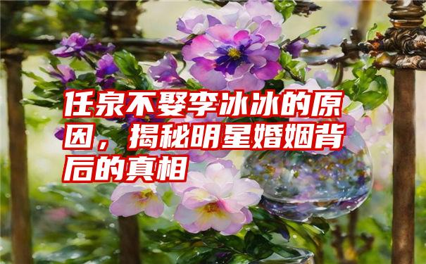 任泉不娶李冰冰的原因,揭秘明星婚姻背后的真相