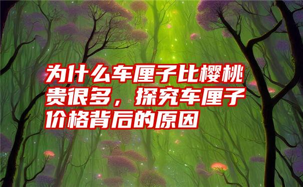 为什么车厘子比樱桃贵很多，探究车厘子价格背后的原因