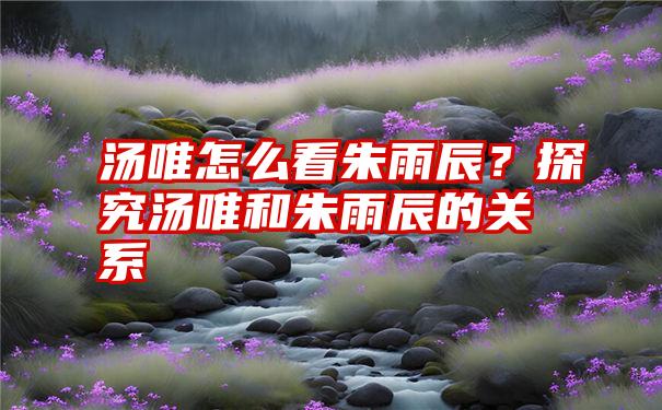 汤唯怎么看朱雨辰？探究汤唯和朱雨辰的关系