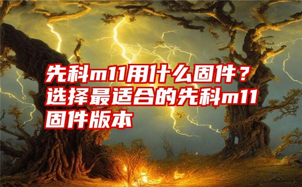 先科m11用什么固件？选择最适合的先科m11固件版本