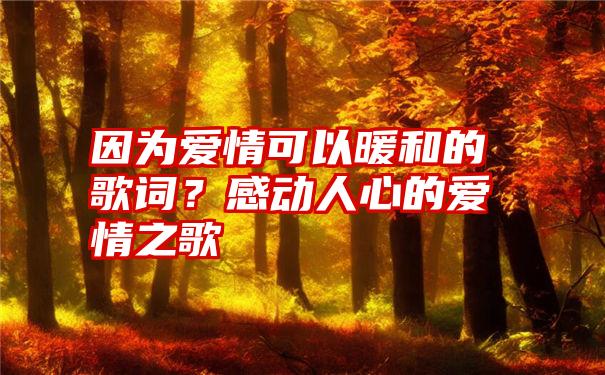 因为爱情可以暖和的歌词？感动人心的爱情之歌