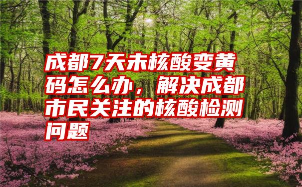 成都7天未核酸变黄码怎么办，解决成都市民关注的核酸检测问题