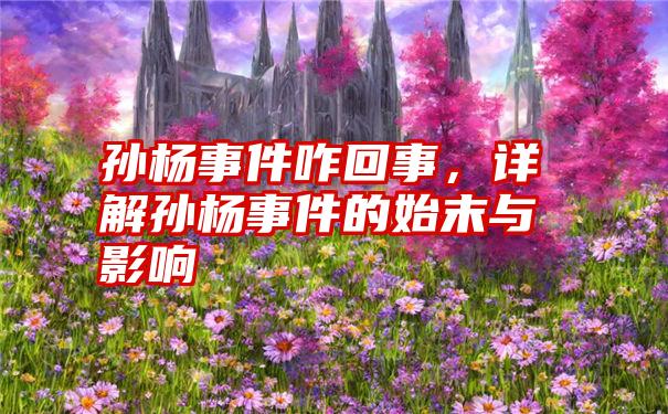 孙杨事件咋回事，详解孙杨事件的始末与影响