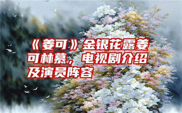 《姜可》金银花露姜可林慕，电视剧介绍及演员阵容