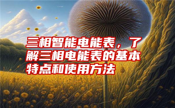 三相智能电能表，了解三相电能表的基本特点和使用方法