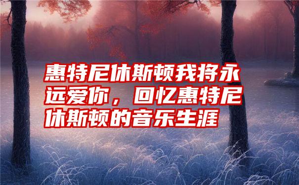 惠特尼休斯顿我将永远爱你，回忆惠特尼休斯顿的音乐生涯