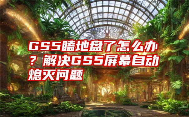 GS5瞌地盘了怎么办？解决GS5屏幕自动熄灭问题