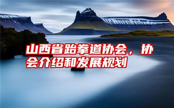 山西省跆拳道协会，协会介绍和发展规划