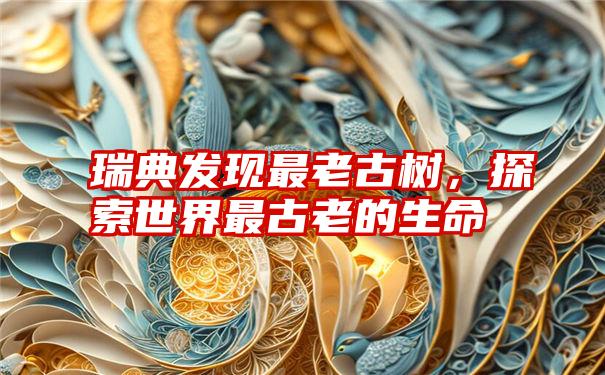 瑞典发现最老古树,探索世界最古老的生命