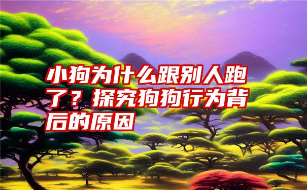 小狗为什么跟别人跑了？探究狗狗行为背后的原因