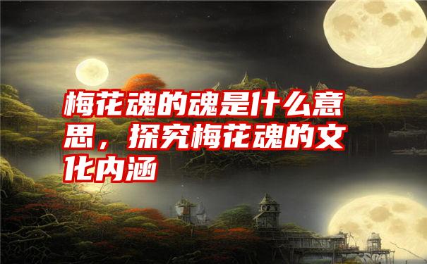 梅花魂的魂是什么意思，探究梅花魂的文化内涵