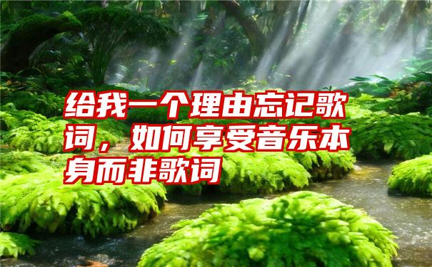 给我一个理由忘记歌词，如何享受音乐本身而非歌词