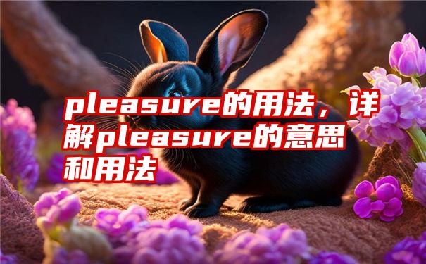 pleasure的用法，详解pleasure的意思和用法