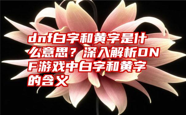 dnf白字和黄字是什么意思？深入解析DNF游戏中白字和黄字的含义