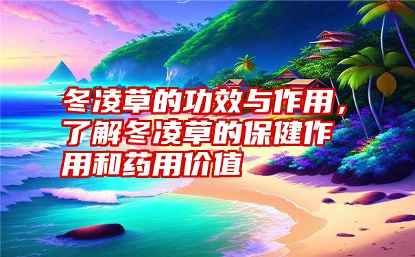 冬凌草的功效与作用，了解冬凌草的保健作用和药用价值