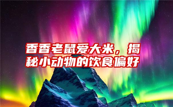 香香老鼠爱大米,揭秘小动物的饮食偏好