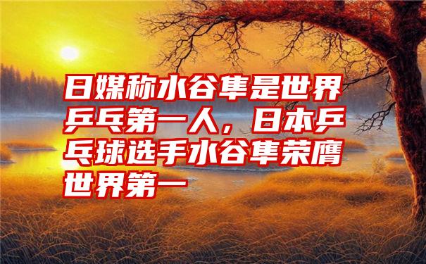 日媒称水谷隼是世界乒乓第一人，日本乒乓球选手水谷隼荣膺世界第一