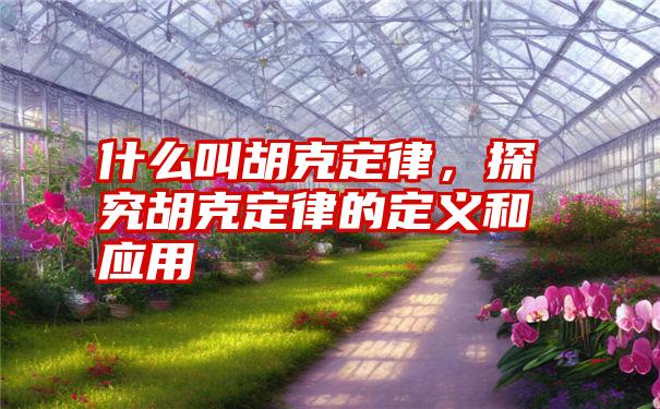 什么叫胡克定律,探究胡克定律的定义和应用