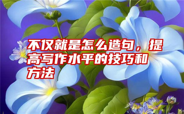 不仅就是怎么造句，提高写作水平的技巧和方法