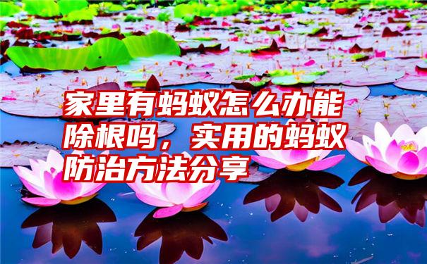 家里有蚂蚁怎么办能除根吗，实用的蚂蚁防治方法分享