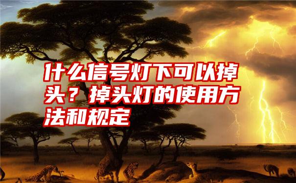 什么信号灯下可以掉头？掉头灯的使用方法和规定