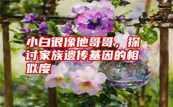 小白很像他哥哥，探讨家族遗传基因的相似度