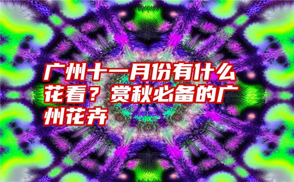 广州十一月份有什么花看？赏秋必备的广州花卉