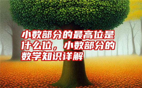 小数部分的最高位是什么位，小数部分的数学知识详解