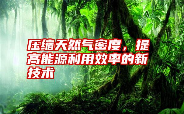 压缩天然气密度，提高能源利用效率的新技术