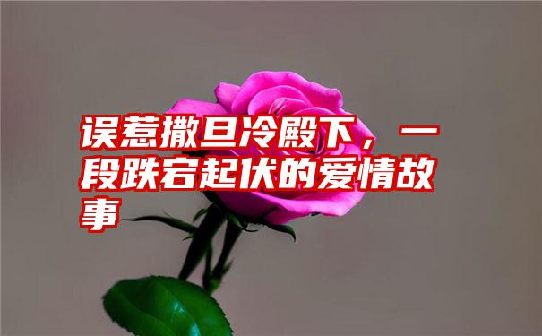 误惹撒旦冷殿下，一段跌宕起伏的爱情故事