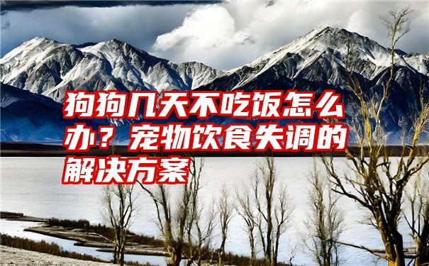 狗狗几天不吃饭怎么办？宠物饮食失调的解决方案