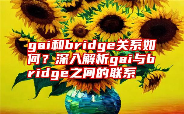 gai和bridge关系如何？深入解析gai与bridge之间的联系