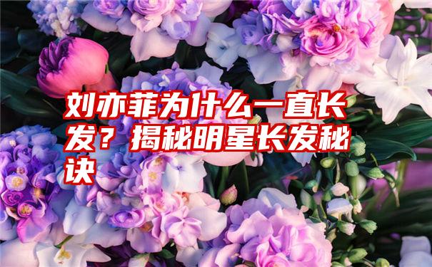 刘亦菲为什么一直长发？揭秘明星长发秘诀