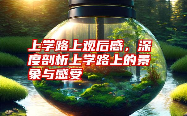 上学路上观后感,深度剖析上学路上的景象与感受