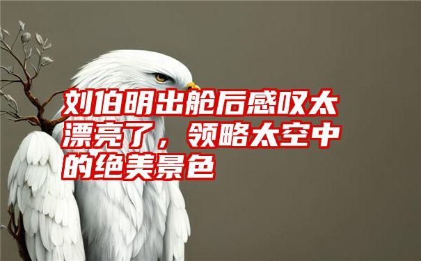 刘伯明出舱后感叹太漂亮了，领略太空中的绝美景色